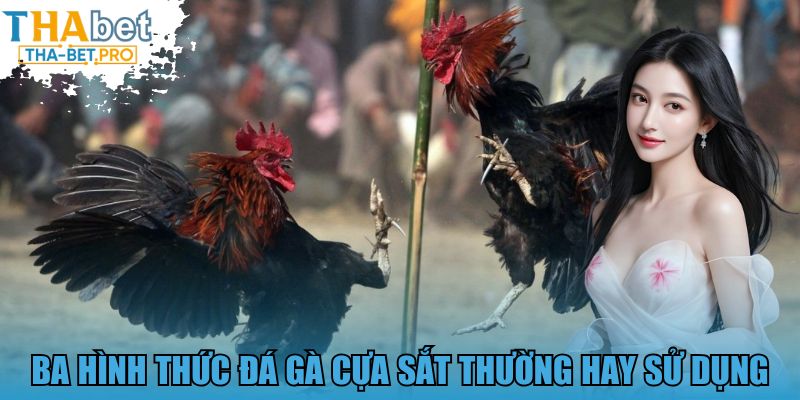 Ba hình thức đá gà cựa sắt thường hay sử dụng