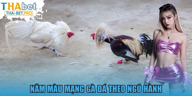 Năm màu mạng gà đá theo ngũ hành